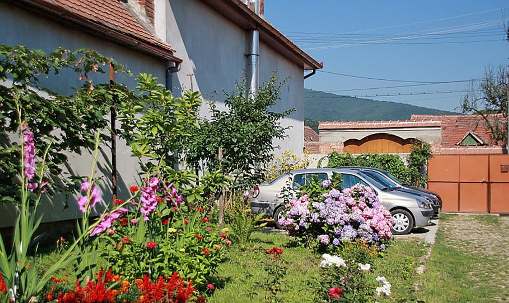 Pensiunea Bendorfeanu Rasinari Exterior photo